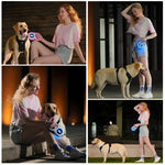 GlowWalk Retractable Dog Leash | 5M - 16FT | Flashlight LED Ambient Lighting YOLO Yard Dog Leash Automatic retractable leash